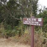Tai To Yan