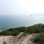 Tung Wan and Tai Wan