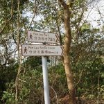 Lantau trail section 8, Wang Pui Road