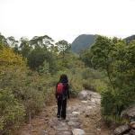 Tai Long Wan campsite