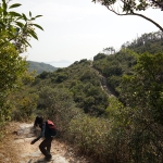 Descent the path to Kau Ling Chung