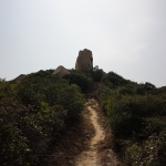 Fan Lau Stalagmite