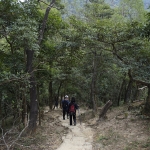 Tai Mo Shan