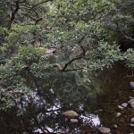 Tai Mo Shan