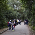 Tai Mo Shan