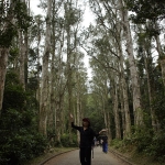 Tai Mo Shan