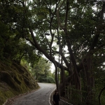 Lion Rock to Amah Rock