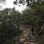 Lion Rock to Amah Rock