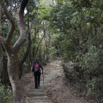 Lion Rock to Amah Rock