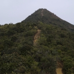 Needle Hill and Grassy Hill