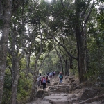 Heng On to Wong Tai Sin