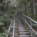 Tsz Wan Shan and Kowloon Peak