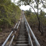 Tsz Wan Shan and Kowloon Peak