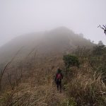 Tsz Wan Shan and Kowloon Peak