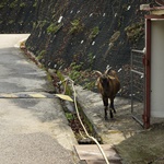 Tai Lam Chung Reservoir