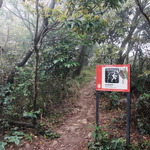 Kowloon Peak