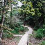 Kowloon Peak